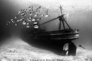   USSKittiwake one my favorite dives. Every time descend variety light sealife conditions... inspire photo USS-Kittiwake USS Kittiwake dives conditions  